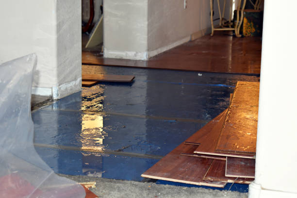 Professional Water Damage Repair technician working in West Greenwich, RI